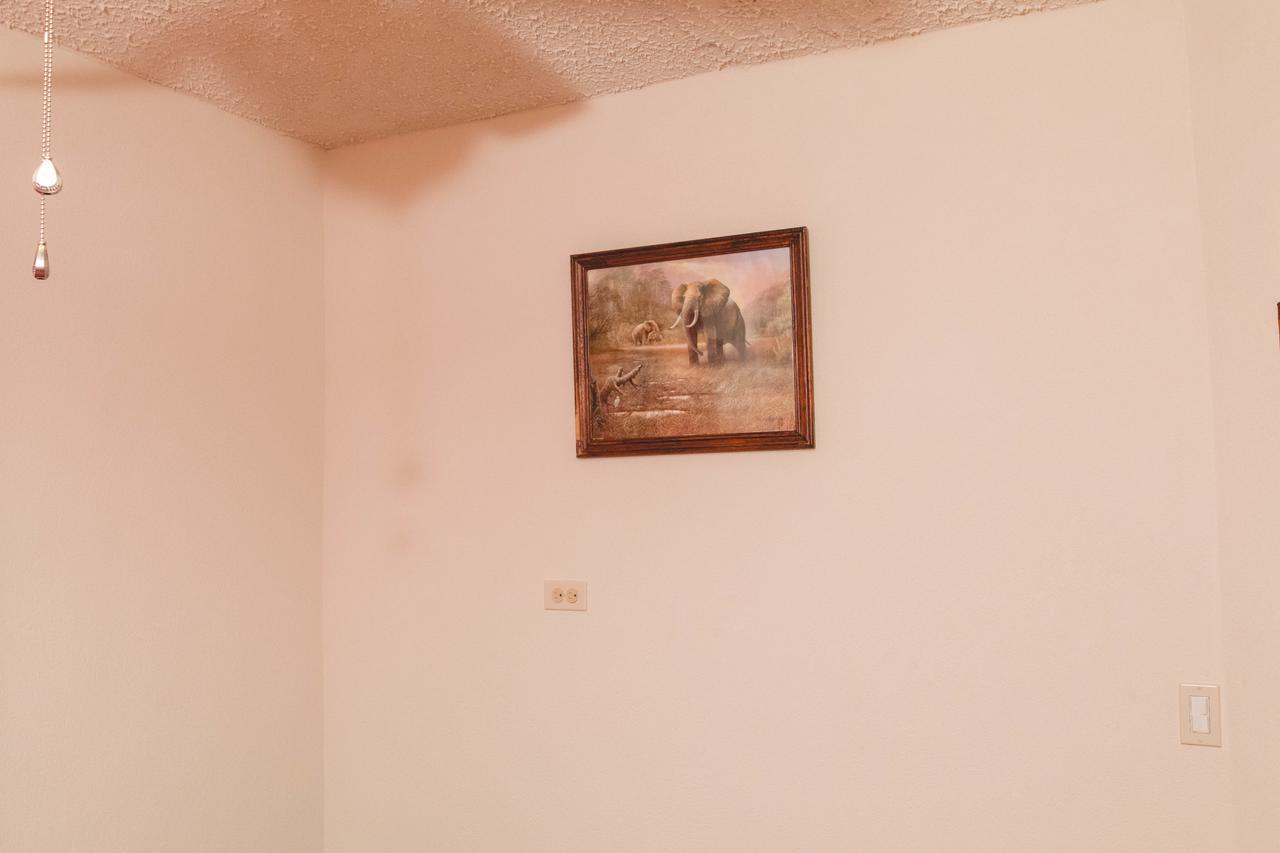 Frontline Apartments Christ Church Luaran gambar